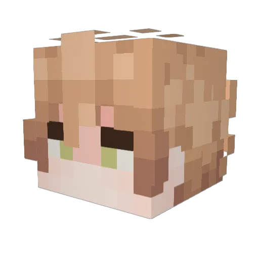 EX0BLAZE Minecraft avatar head, 3D render