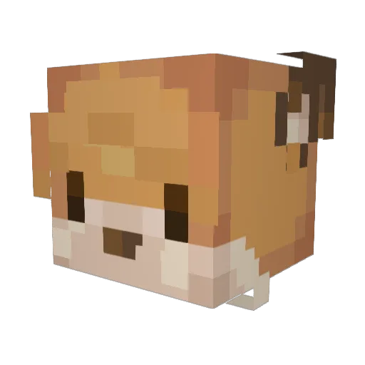 EX3RT Minecraft avatar head, 3D render