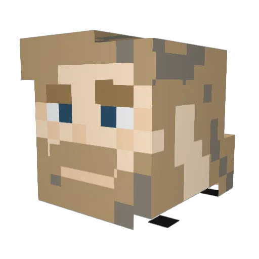 EXB7 Minecraft avatar head, 3D render