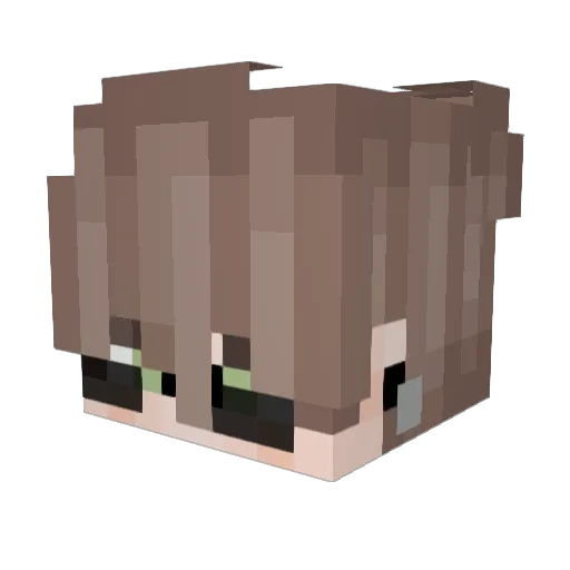EXCUTIVES Minecraft avatar head, 3D render