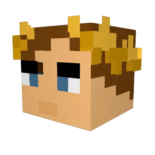 EXOTIC_NBS Minecraft avatar head, 3D render