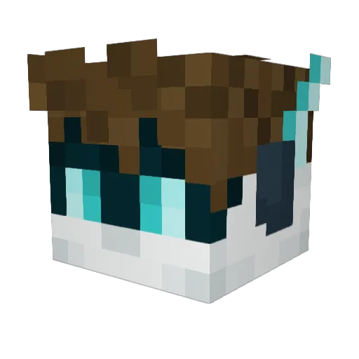 EXTOR_9 Minecraft avatar head, 3D render