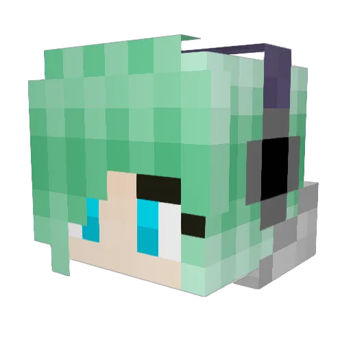 EXTRA_NINJA_ Minecraft avatar head, 3D render