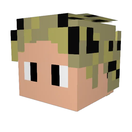 EXVATAS Minecraft avatar head, 3D render