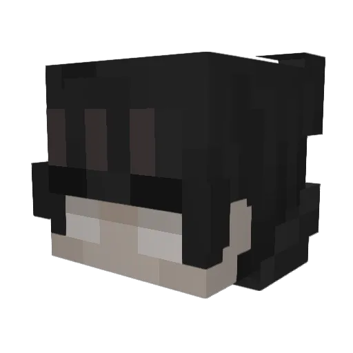 EX____ Minecraft avatar head, 3D render