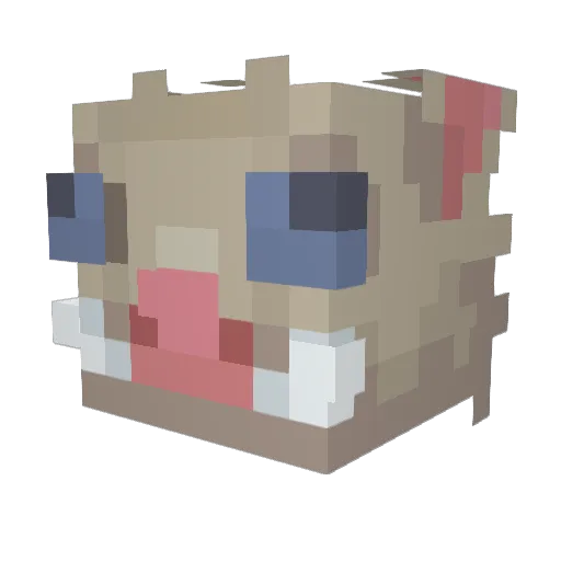EYE_wise Minecraft avatar head, 3D render