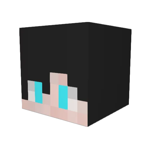 EYu1210 Minecraft avatar head, 3D render