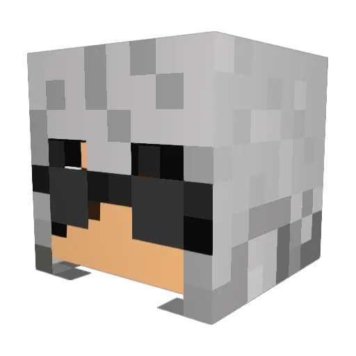 EZC_Radikal Minecraft avatar head, 3D render