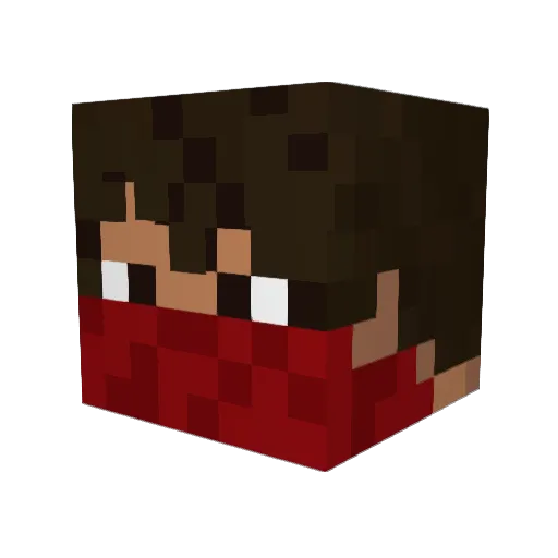 E_Garrix Minecraft avatar head, 3D render