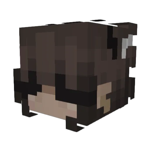E_Mills Minecraft avatar head, 3D render