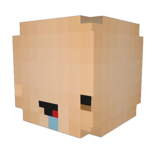 E_Ruben Minecraft avatar head, 3D render