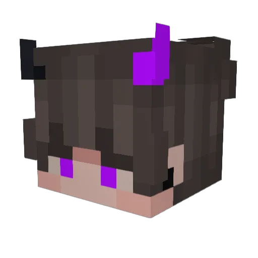 E_SantyBRR_3 Minecraft avatar head, 3D render