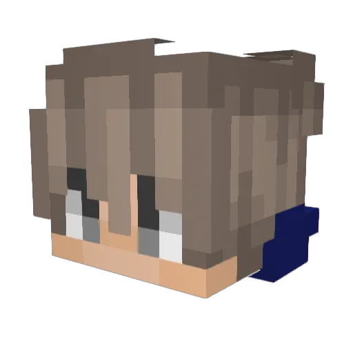 E______________3 Minecraft avatar head, 3D render