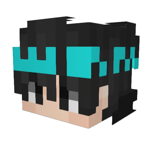E_vannn Minecraft avatar head, 3D render
