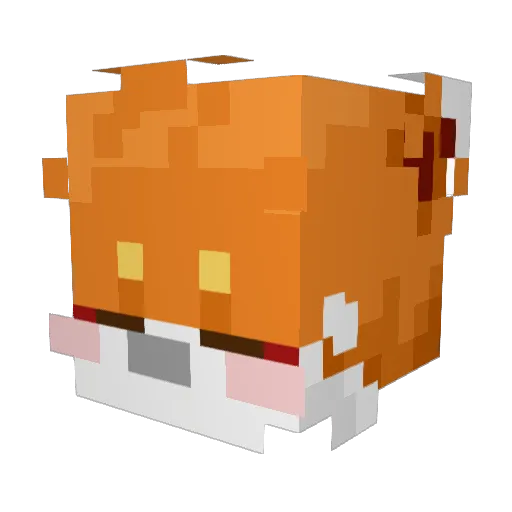 EaWhat Minecraft avatar head, 3D render