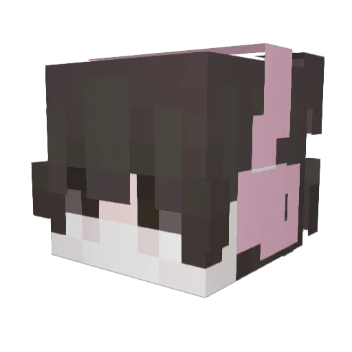 EachAlpaca Minecraft avatar head, 3D render