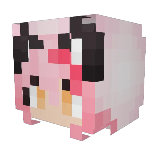 Eaffic Minecraft avatar head, 3D render