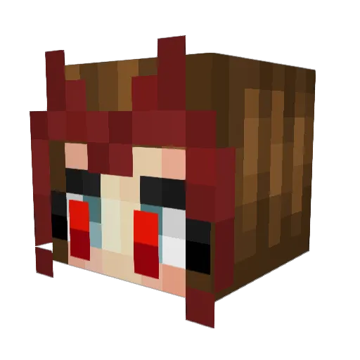 Eager1704 Minecraft avatar head, 3D render