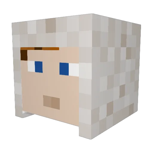 EagerRabid1 Minecraft avatar head, 3D render