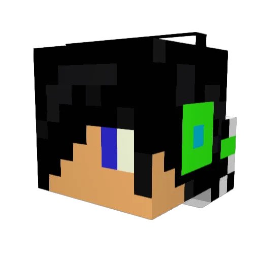 Eagle1Eye212 Minecraft avatar head, 3D render