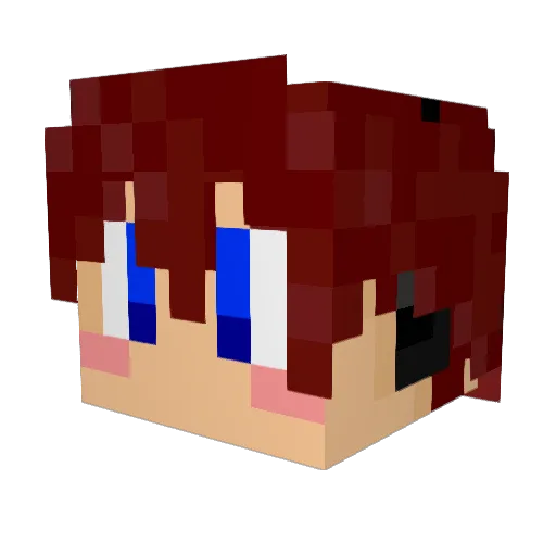 Eagle7019 Minecraft avatar head, 3D render
