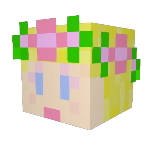 EagleEyeFi Minecraft avatar head, 3D render