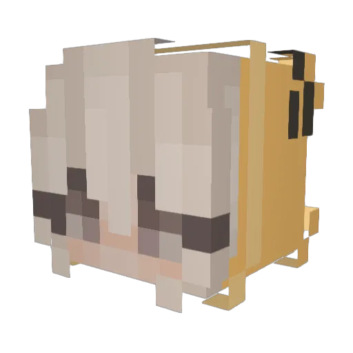 EagleFelododo Minecraft avatar head, 3D render