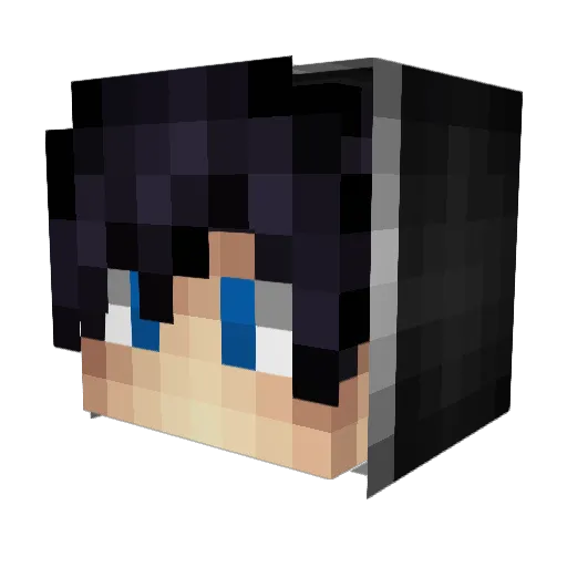 EagleJustBetter Minecraft avatar head, 3D render