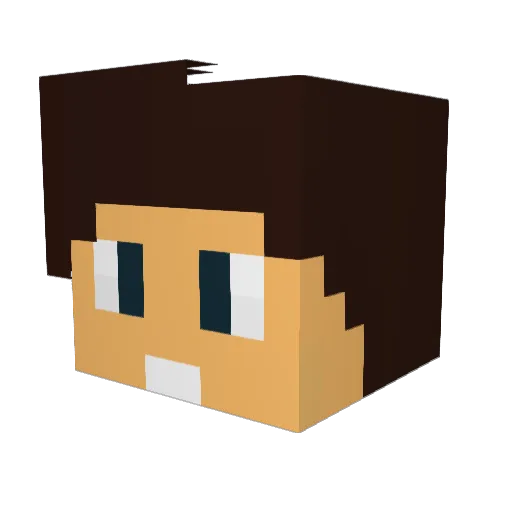 EaglePaw99 Minecraft avatar head, 3D render