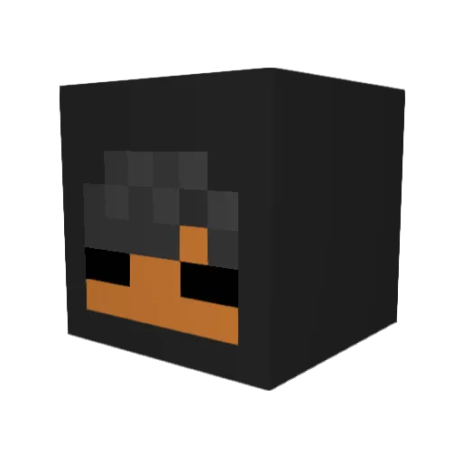 EagleSeeker0 Minecraft avatar head, 3D render
