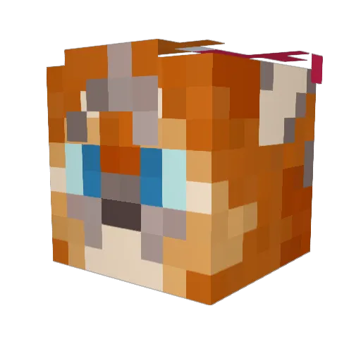 EagleTalon357 Minecraft avatar head, 3D render