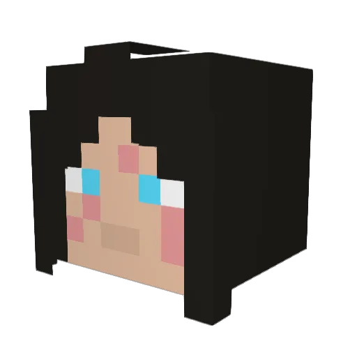 Eagle_Boy7 Minecraft avatar head, 3D render