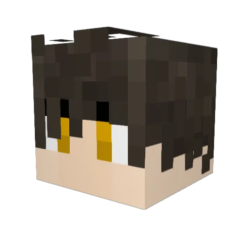 Eagle_Eye98 Minecraft avatar head, 3D render