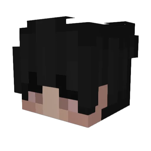 Eagleguy140 Minecraft avatar head, 3D render