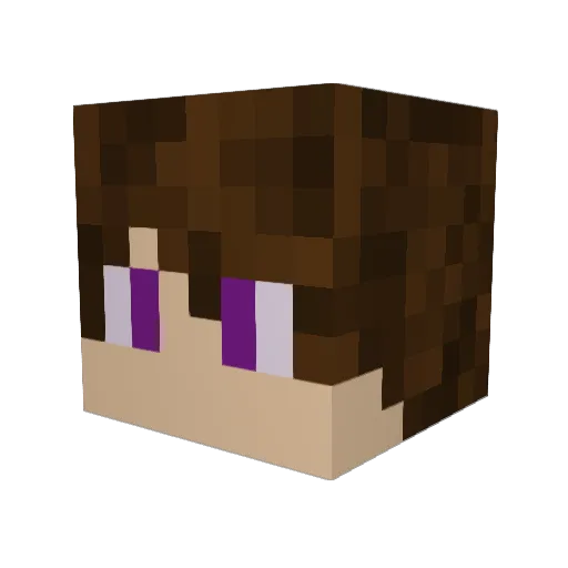 Eagles1945 Minecraft avatar head, 3D render