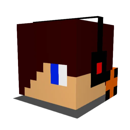 Eagles81 Minecraft avatar head, 3D render
