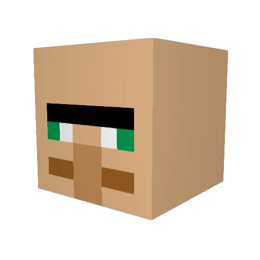 Eagles8200 Minecraft avatar head, 3D render