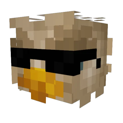 Eagles_Feather Minecraft avatar head, 3D render