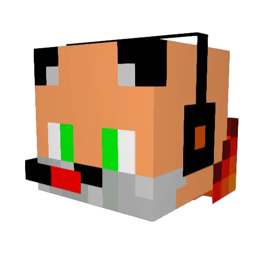 Eagles_Nation Minecraft avatar head, 3D render