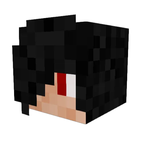 Eagleye457 Minecraft avatar head, 3D render