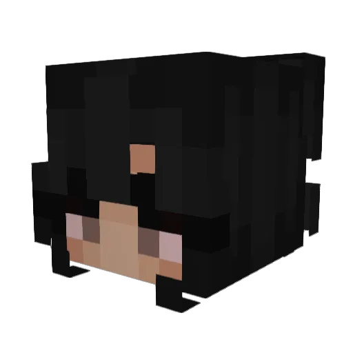 Eaj98 Minecraft avatar head, 3D render