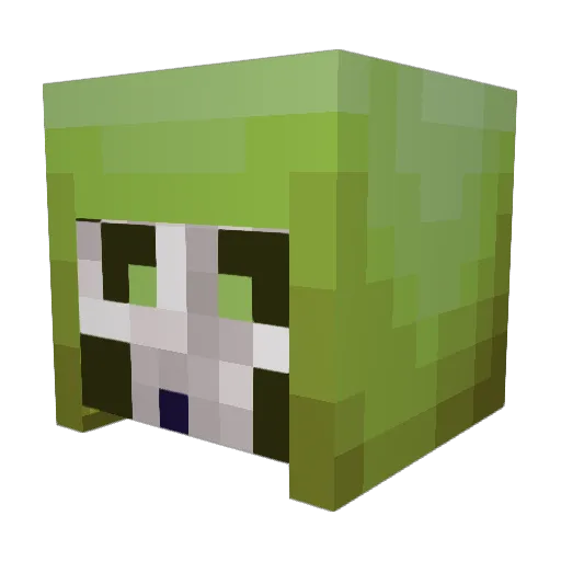 Eam10 Minecraft avatar head, 3D render
