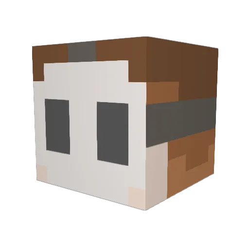 Eap_4 Minecraft avatar head, 3D render