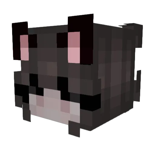 Earlrose Minecraft avatar head, 3D render