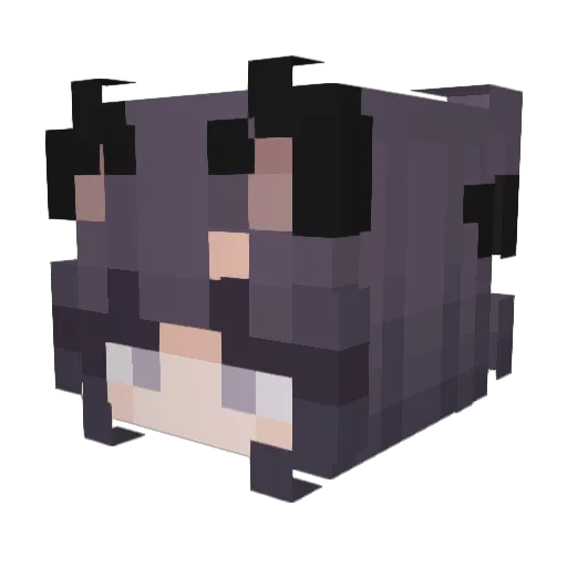 EarlyDawns Minecraft avatar head, 3D render