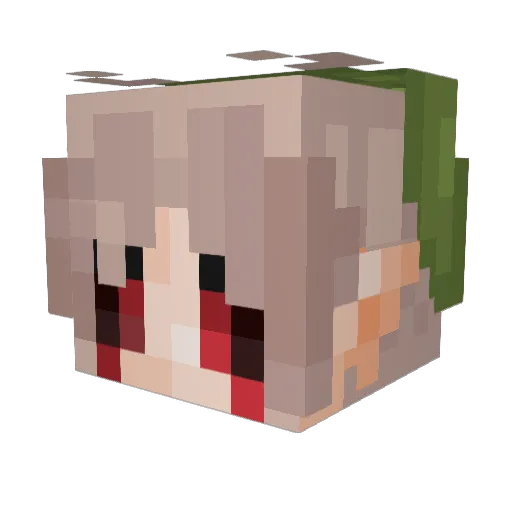 EarlyRiptides Minecraft avatar head, 3D render