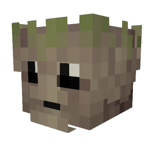Early_Bird007 Minecraft avatar head, 3D render