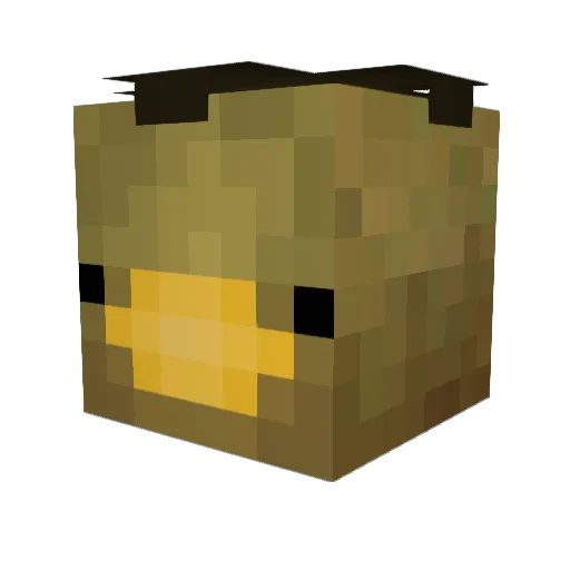Earlyjoe123 Minecraft avatar head, 3D render
