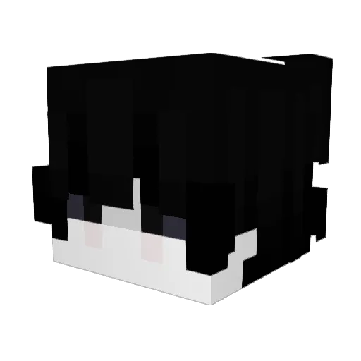 EarnMoney Minecraft avatar head, 3D render