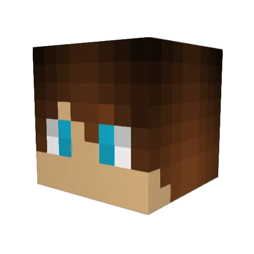 Earny24 Minecraft avatar head, 3D render